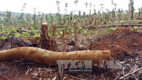 Kỷ luật khiển trách Ban Thường vụ Huyện ủy Đắk G’long, tỉnh Đắk Nông ảnh 1